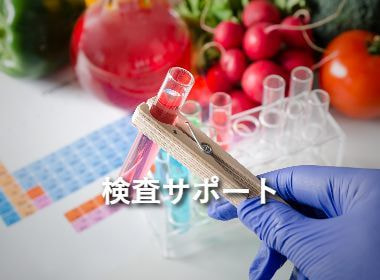 製品情報